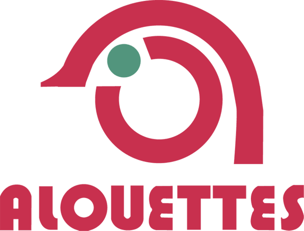 montreal alouettes 1970-1974 primary logo t shirt iron on transfers